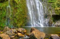 East Maui Waterfalls and Rainforest Hike