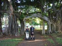 Honolulu Segway Tour: Kapiolani Park, Makalei Beach Park and Queen’s Surf Beach