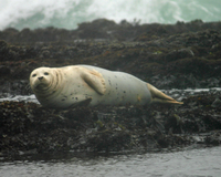 San Francisco Bay Eco-Cruise