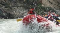 Athabasca Family Rafting Adventure: Class II Plus Rapids