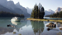 Jasper National Park Wildlife and Waterfalls Tour
