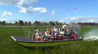 Florida Everglades Airboat Tour and Alligator Encounter with Optional Lunch