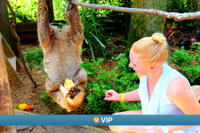 Viator VIP: Keeper-for-a-Day Program at Wild Florida