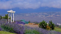 Small-Group Maui Tour: Haleakala National Park, Lavender Farm and Wine Tasting
