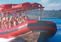 Small-Group Molokini Snorkel and Green Sea Turtle Adventure from Maui