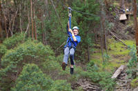 Haleakala Zipline Adventure