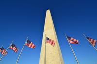 Washington DC Express Sightseeing Tour