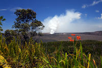 Hawaii Volcano Eco-Adventure Day Trip from Oahu