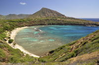 Small-Group Oahu Eco-Tour Including Waimea Valley Hike