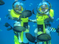 Oahu Submarine Scooter Adventure