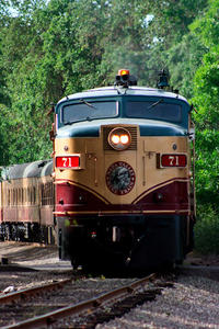 Napa Valley Wine Train from San Francisco: Gourmet Lunch, Wine Tasting and Vineyard Tour