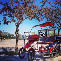 Montreal Quadricycle Rental