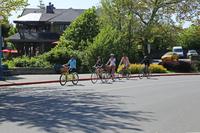 Victoria Shore Excursion: Castles and Neighborhoods Bike Tour