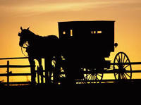 Niagara Falls USA Amish Heritage Tour