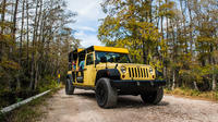 Private Tour: Everglades Sightseeing at Big Cypress National Preserve