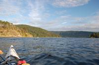 Vancouver Kayaking Tour