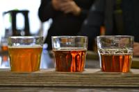 Vancouver Bike Tour with Beers and Bites