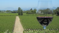 Small-Group Vintage Wine Country Tour