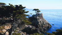 Day Trip to Monterey and Carmel via California Coast
