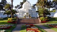 Shore Excursion: Half-Day San Francisco Grand City Tour