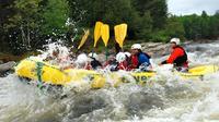 High Adventure Rafting on the Ottawa River