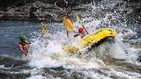 Ultimate Adventure Whitewater Rafting Ottawa River