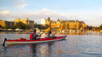 Victoria Harbour Sunset Kayak Tour