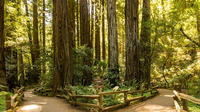 Woods and Wine: Half Day Sonoma Wine Tour plus Muir Woods National Monument