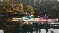 Brentwood Bay Guided Kayak Tour