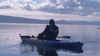 2-Hour Guided Kayak or Paddle Board Tour