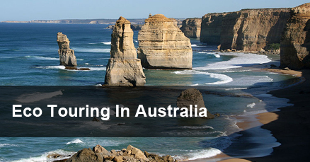 Great Ocean Road Eco Tour