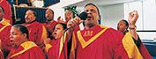 Harlem and Gospel Tours