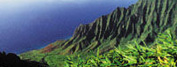 Day Tours from Oahu
