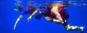 Snorkeling & Scuba Diving