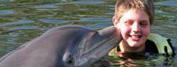 Swim With Dolphins & Manatees