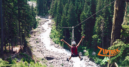 Zipline Adventure in Whistler
